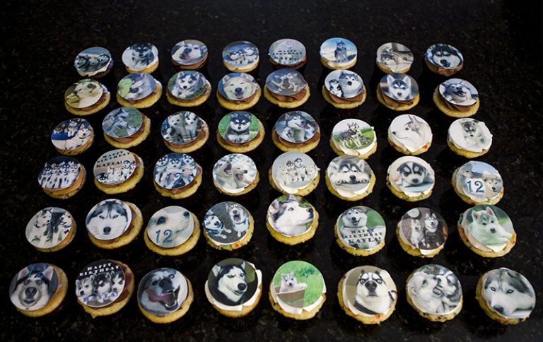 Cupcakes Huskies (1)